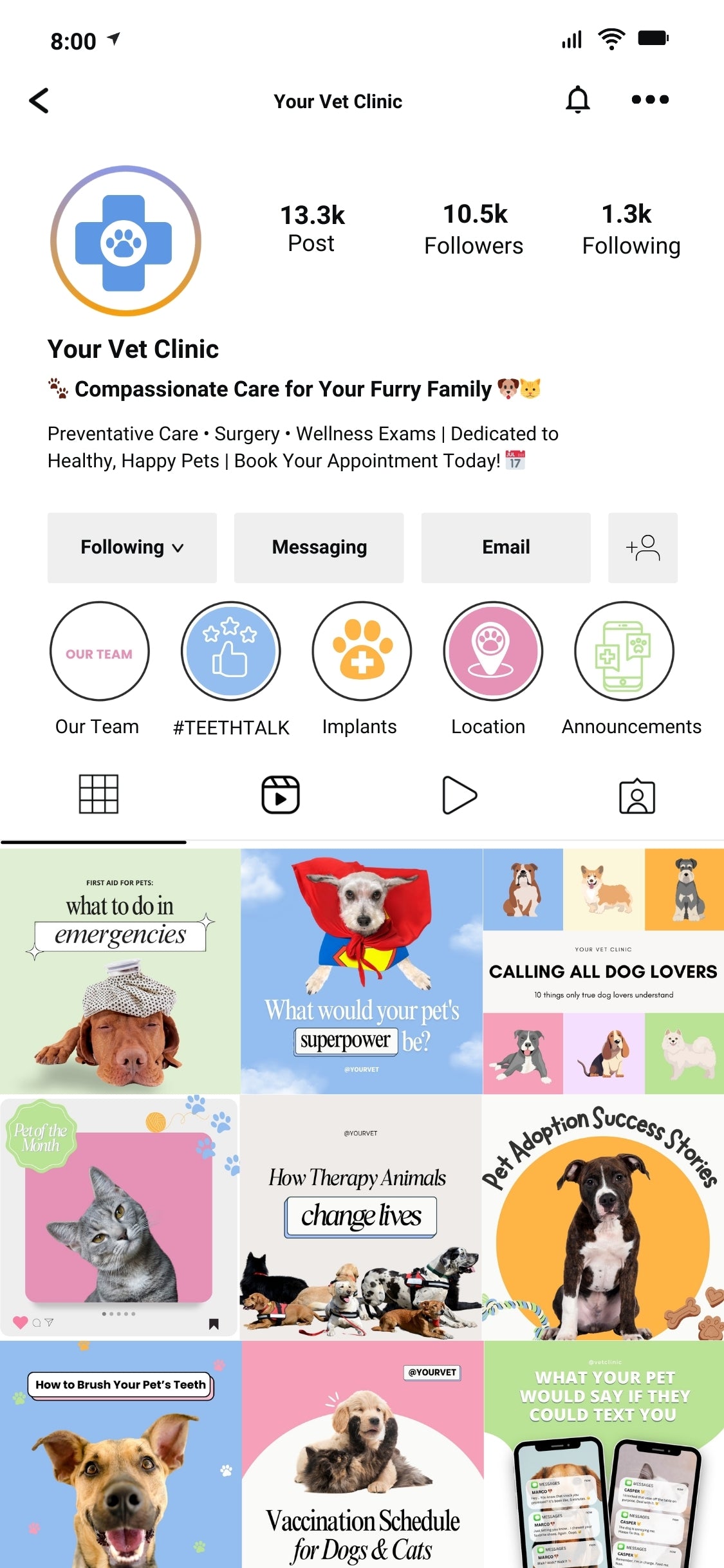 Customizable Canva Templates for Veterinarians and Vet Clinics