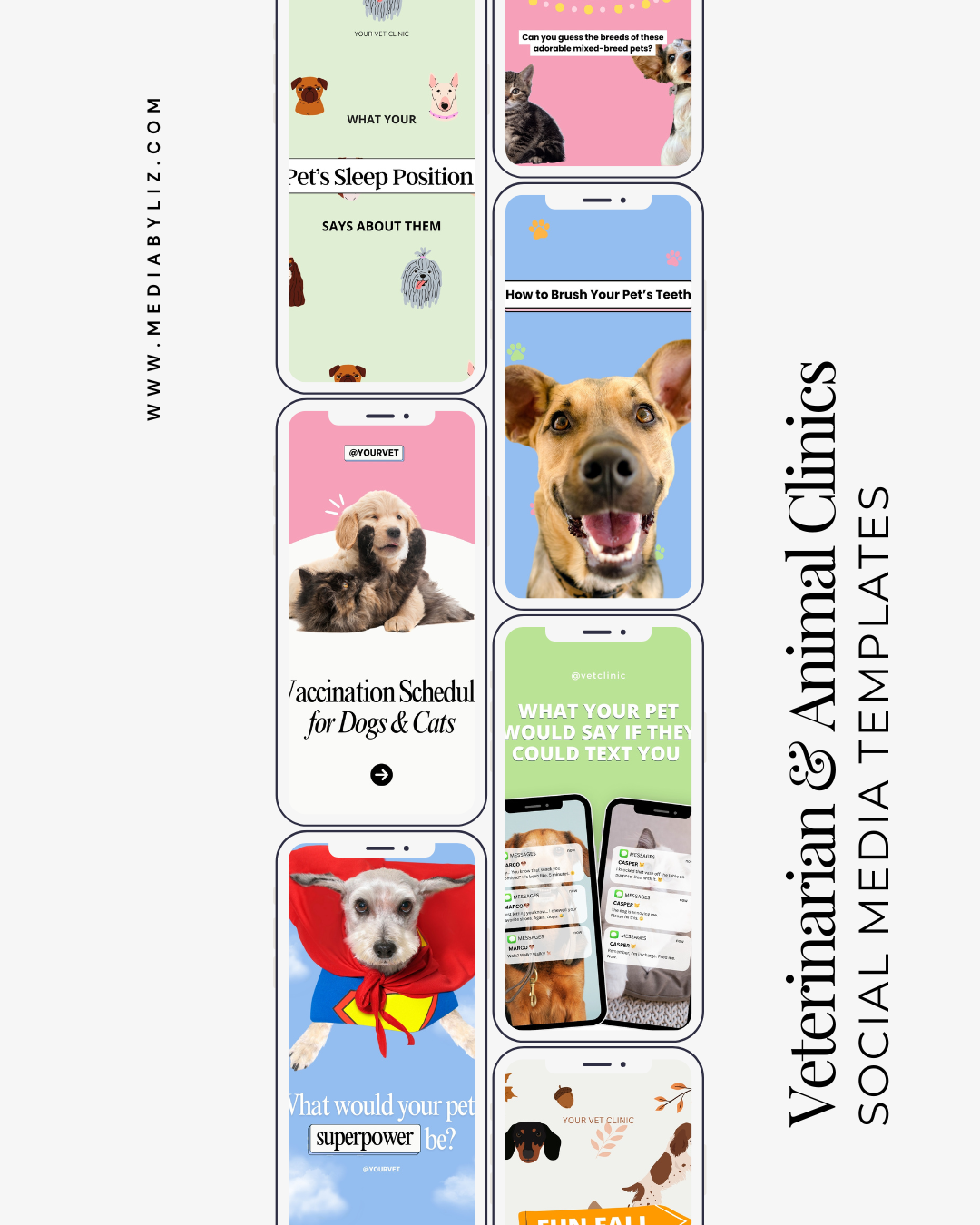 Enhance Your Vet Clinic’s Online Presence with Customizable Social Media Content