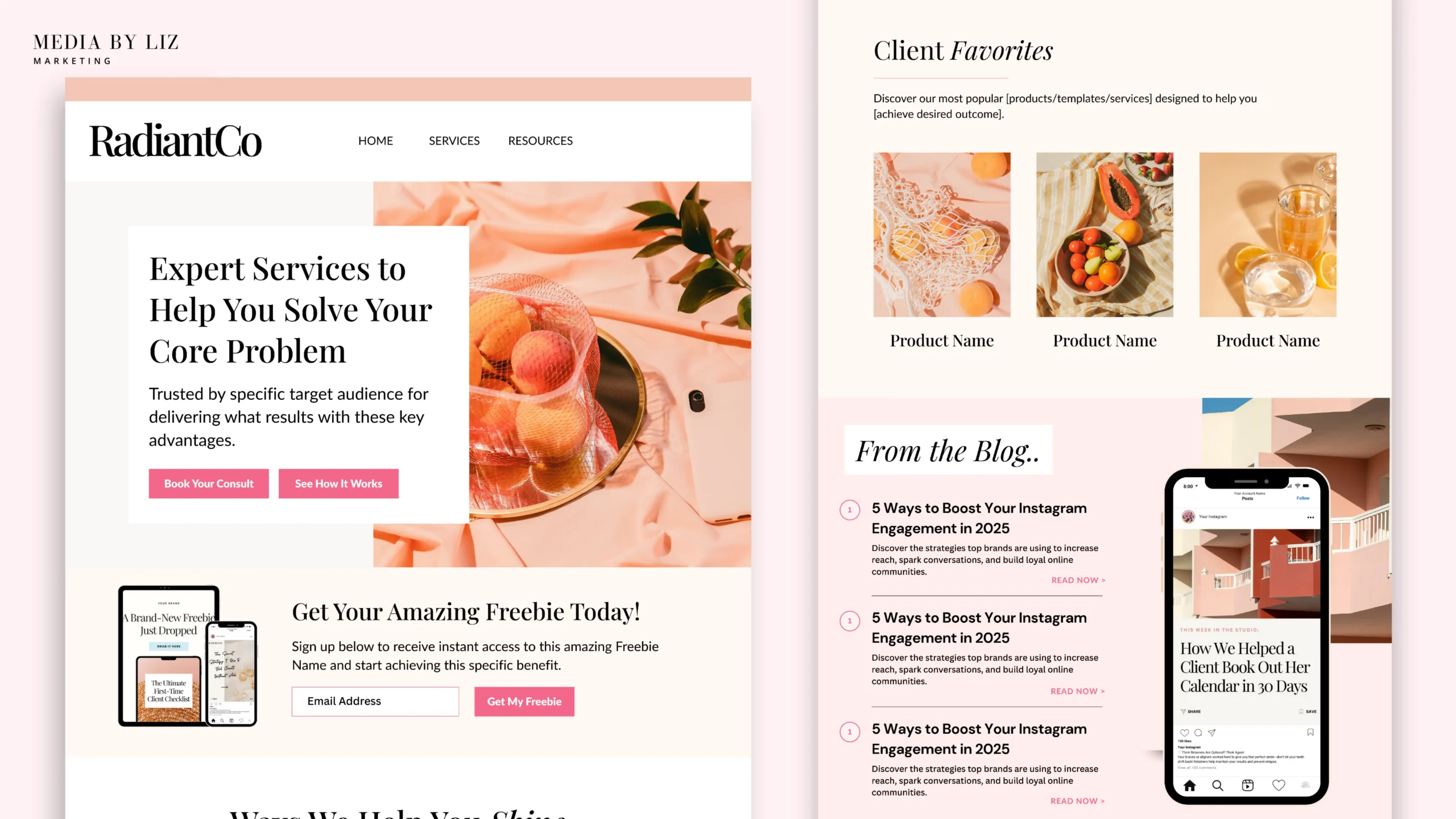 wordpress website design services copy